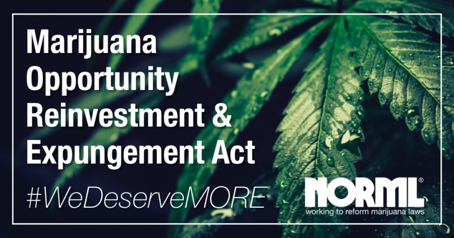 tokeinapp's tweet photo. If passed, the MORE Act, which was introduced to US Congress last month, would completely decriminalize marijuana at the federal level, establish social equity programs for cannabis entrepreneurs, among other changes. https://t.co/zIOB0f62Ta #cannabisnews #cannabiscommunity https://t.co/dRmwpmCgGr