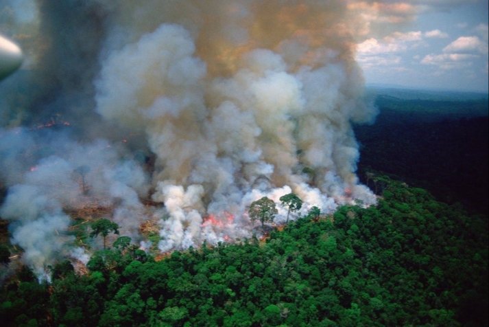 ojmikey_'s tweet image. #saveAmazonia #SaveAmazon #SAVEAMAZONFOREST 
Pray for Amazon