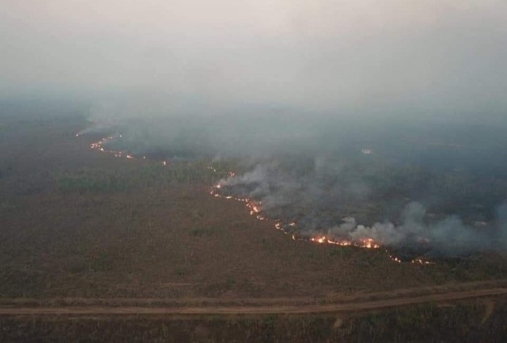 ojmikey_'s tweet image. #saveAmazonia #SaveAmazon #SAVEAMAZONFOREST 
Pray for Amazon