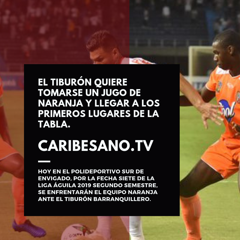 caribesanotv's tweet photo. #Fútbol Hoy en el Polideportivo sur de Envigado, por la fecha siete de la liga águila 2019 segundo semestre, se enfrentarán el equipo naranja ante el tiburón barranquillero. Para leer la entrada completa: https://t.co/0wRGDZoaTt #junior #envigado #teofilo #ligaáguila https://t.co/bwXx0nzCQS