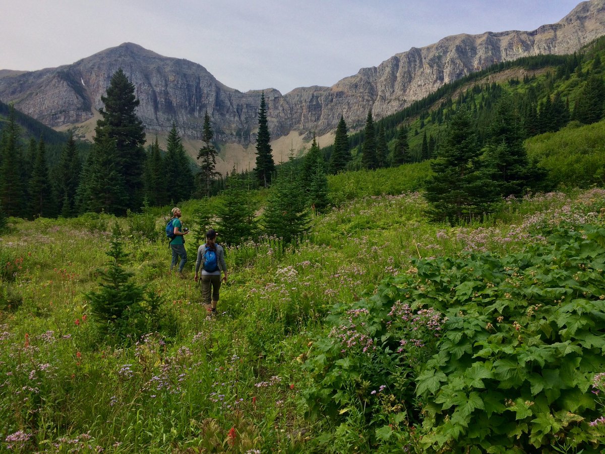 HeadwatersAB's tweet photo. AB Gov't paused OHV phase-out in #CastleParks pending more talks w stakeholders. If you support the existing Castle Management Plan, let your MLA know. https://t.co/Sxv5FxuSy3 https://t.co/FwM7SYCNRh