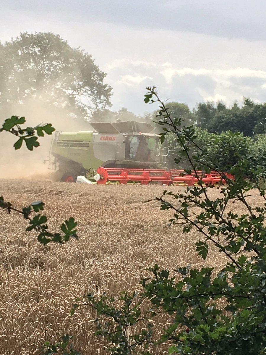 StaffsLibraries's tweet photo. A lovely healthy 10 mile walk today from #BrewoodCommunityLibrary for a group of 17! Beautiful #Staffordshire countryside at harvest time and good company! @mpftnhs @StaffordshireCC @sstaffsgoodlife https://t.co/25kumyqZGp