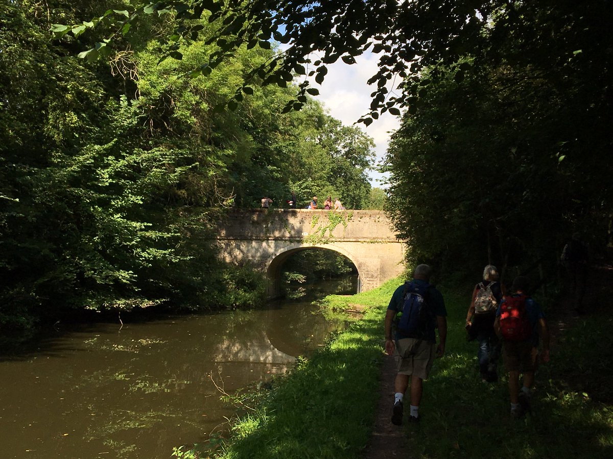StaffsLibraries's tweet photo. A lovely healthy 10 mile walk today from #BrewoodCommunityLibrary for a group of 17! Beautiful #Staffordshire countryside at harvest time and good company! @mpftnhs @StaffordshireCC @sstaffsgoodlife https://t.co/25kumyqZGp
