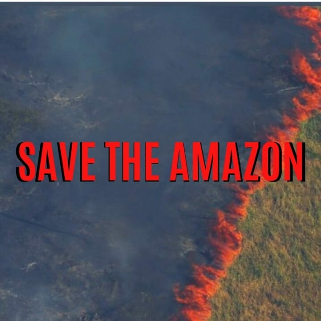 mech_kaushik's tweet image. #SAVEAMAZONFOREST #ennadapannivechrukenga #chai