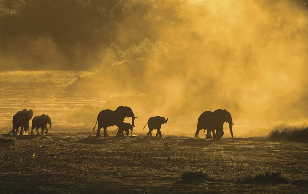 LodgerTravel's tweet photo. A first-time visitors’ guide to Kruger National Park! If you’ve never been to S. Africa’s most famous game park, it’s well-worth making the trip. Here’s a brief look at what you need to know when planning for your Big Five experience. https://t.co/fAGILhSQhi #travel #wanderlust https://t.co/5VY9LcMu71