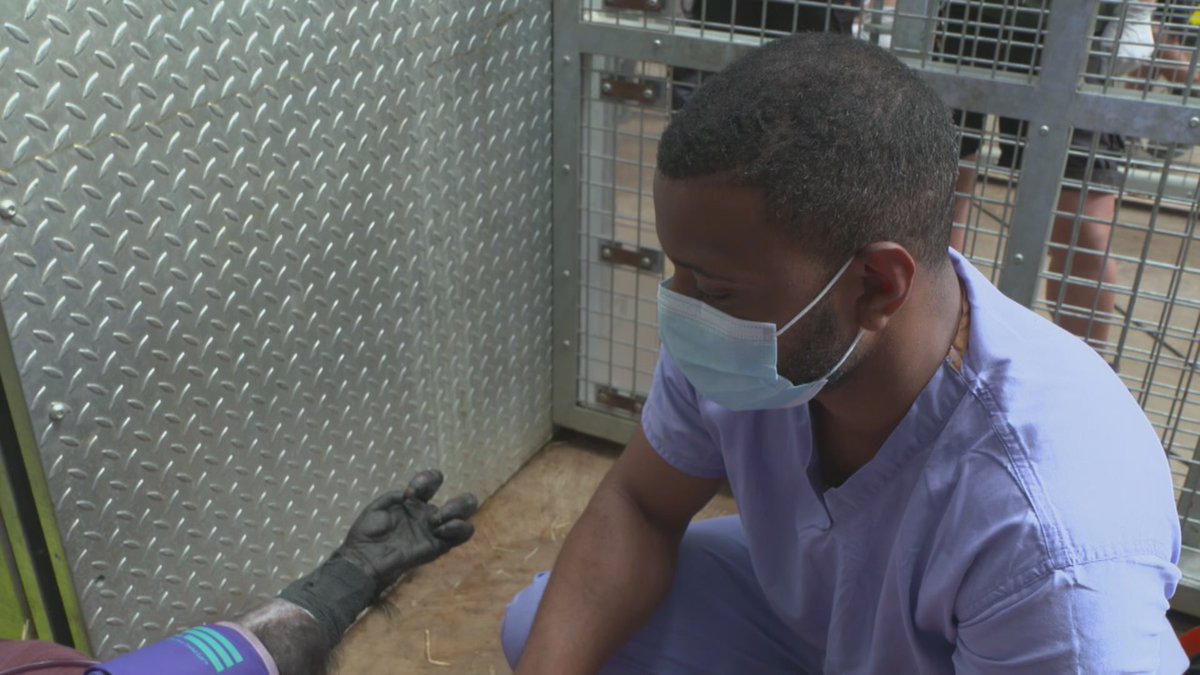 Big Week At The Zoo Bigweekatthezoo Twitter