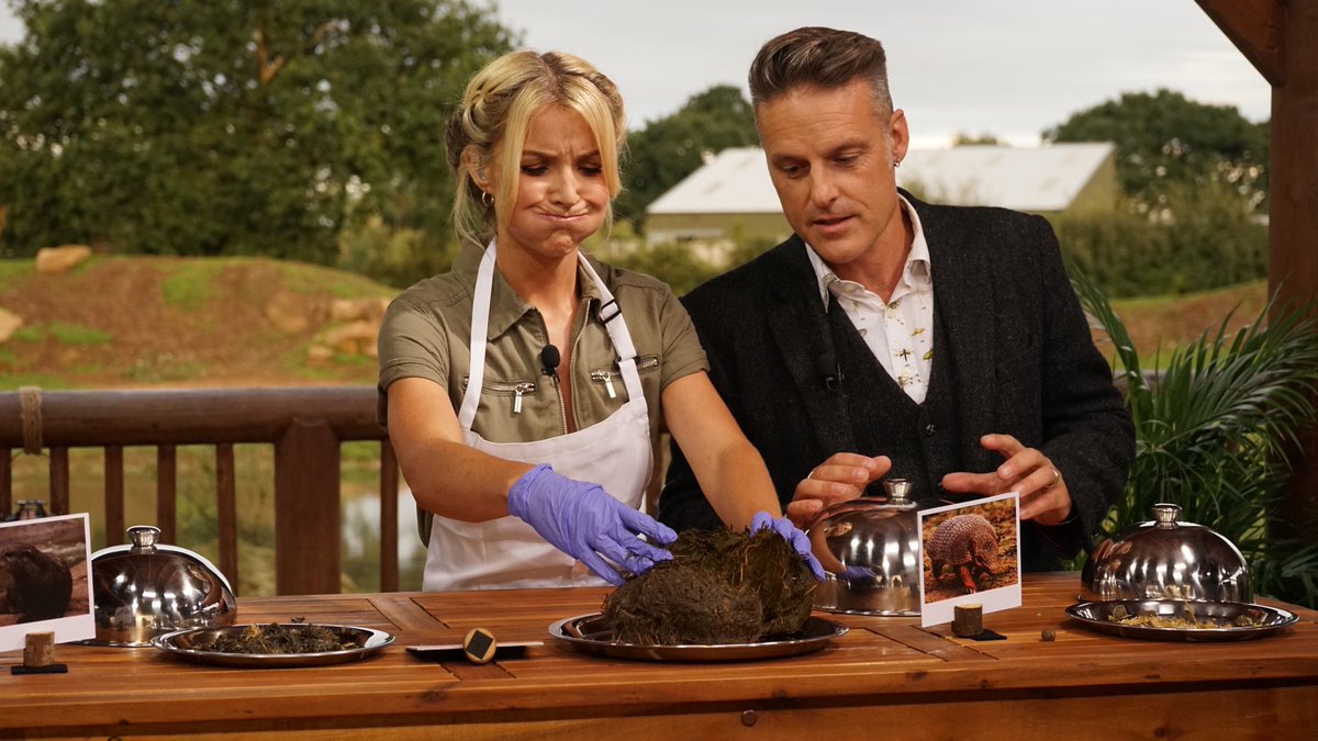 Big Week At The Zoo Bigweekatthezoo Twitter