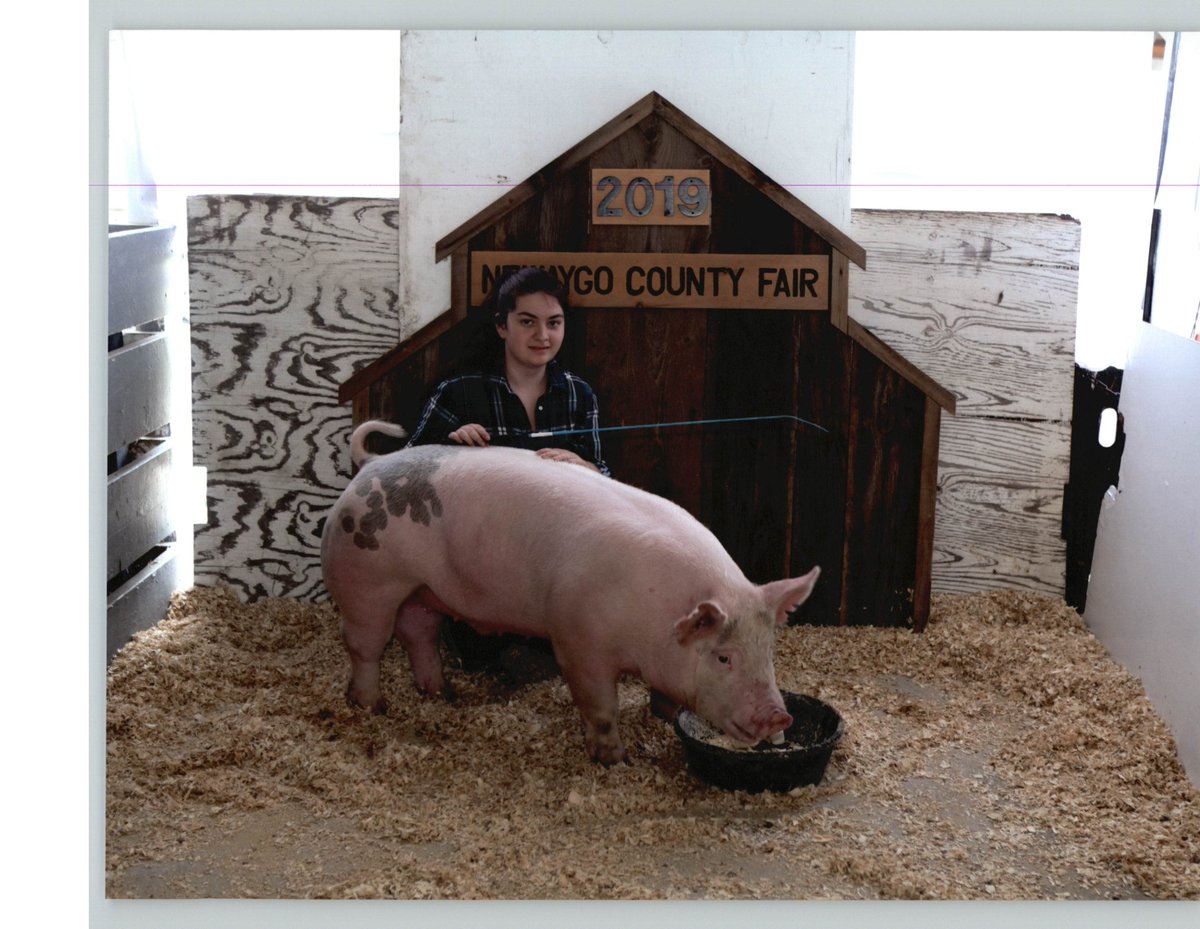 GerberFdnWmi's tweet photo. Each year we head to the Newaygo County Fair to purchase animals to process and donate the meat to local food pantries to help families in need.  Great work to the kids who raised and showed their animals! https://t.co/VXUg1CnXkr