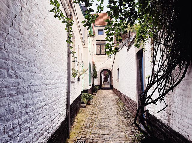 Avainsana Visitliège Twitterissä