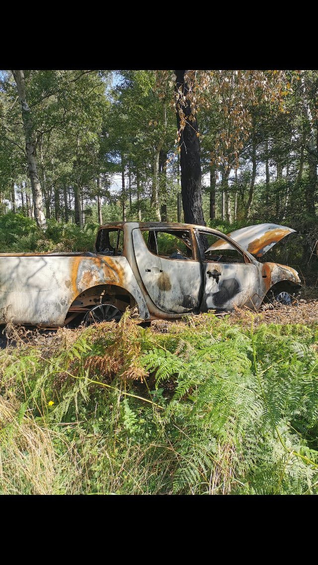 stolen.. help bring daisy dog home. OFFICIAL GROUP tweet media