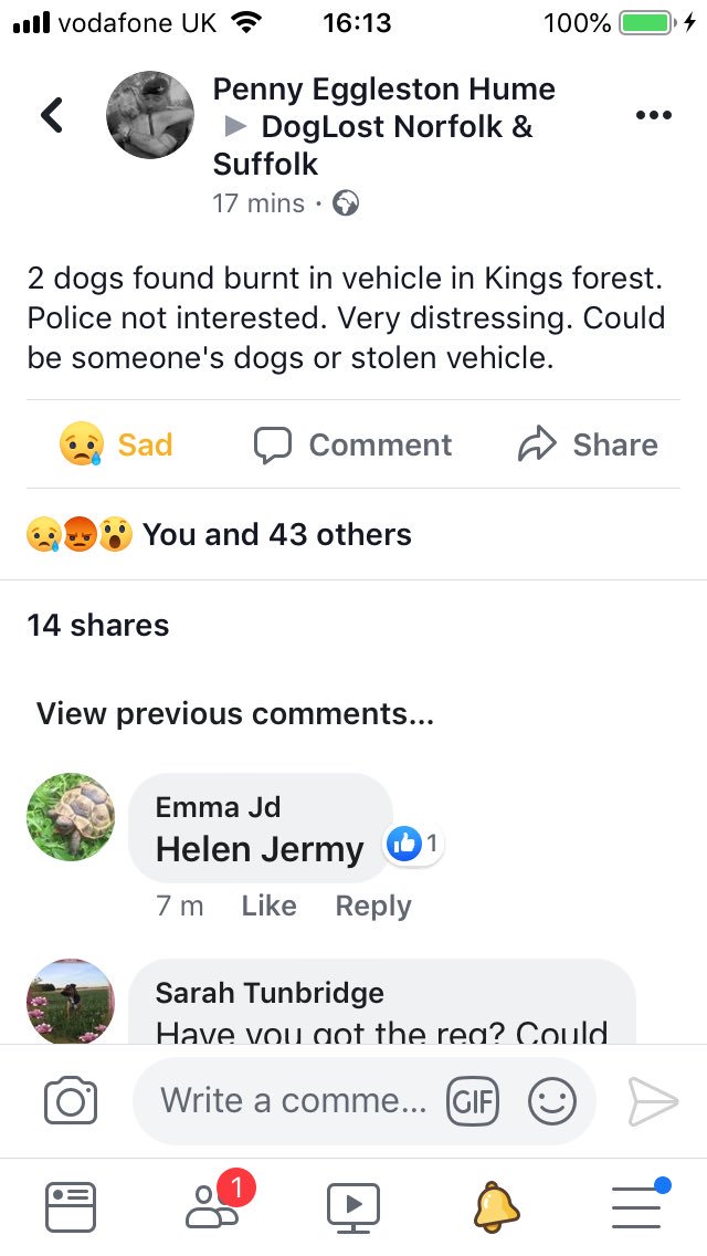 stolen.. help bring daisy dog home. OFFICIAL GROUP tweet media