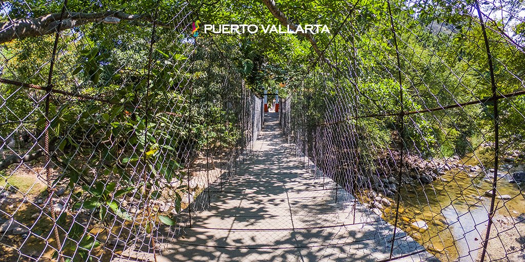 PuertoVallarta's tweet photo. Cross the bridges of the Cuale River Island and discover the magic that this place has. Visit #PuertoVallarta! https://t.co/bHSPEgEVnO