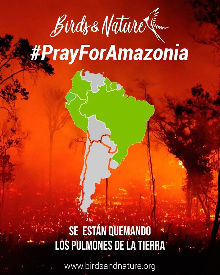 Si dejamos el planeta morir, también nosotros moriremos #PrayforAmazonas