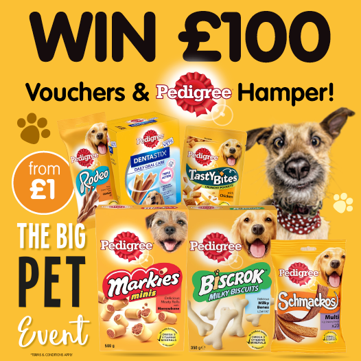 bmstores's tweet photo. 🐶 #COMPETITION TIME 🐶

To celebrate the start of our #PetEvent, we're giving away the chance to #WIN £100 worth of B&amp;M Vouchers PLUS a @wearefordogs Hamper to ONE lucky winner!

For you chance to WIN, simply FLW/RT &amp; COMMENT the name of your dog!

Competition ends 9am 23/8/19 https://t.co/V6o99Sn97D