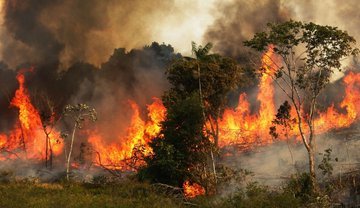 OctavoDiaBCS's tweet photo. #ÚltimaHora La selva del amazonas lleva 17 días en llamas.
Cuando la catedral de Notre Dame se incendió se declaró una tragedia mundial, sabiendo que la Amazonía es el "pulmón" del mundo ¿Qué piensan hacer? 
Es hora que la sociedad se quite las vendas de los ojos #PrayforAmazonas https://t.co/hZoh60QnJD