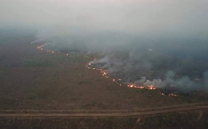 VictorGOfficial's tweet photo. El Amazonia, considerado el pulmón más grande de nuestro planeta lleva incendiado ¡desde hace 17 días! Pero los Gobiernos de los Países involucrados han preferido guardar silencio.

Este pulmón produce el 20% de oxígeno en el mundo... https://t.co/4ckXVJNa3V