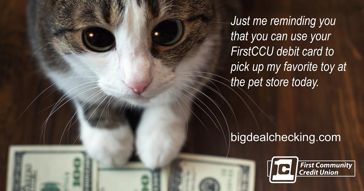 first_ccu's tweet image. In case you've been busy and forgot about our incredible offer, we have Ben here to help remind you how to earn up to 10% APY with Security+ Checking at FirstCCU. Earn more at bigdealchecking.com
#highinterestchecking #creditunions #payattentiontome