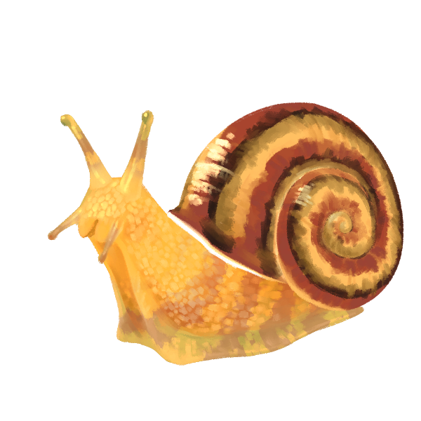 カタツムリ Snailのtwitterイラスト検索結果 古い順 カタツムリ Snailのtwitterイラスト検索結果 古い順