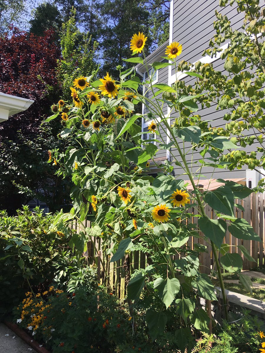 Mary Woods (@mkwoods56) on Twitter photo 