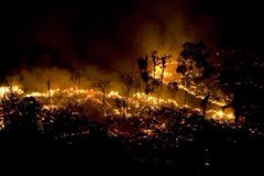 AFCyb3r's tweet photo. The lungs of the planet are on fire 
This is a global catastrophe

Amazonia produces 20% of the world's oxygen 

#PrayForAmazonia https://t.co/cb11xS9lGL
