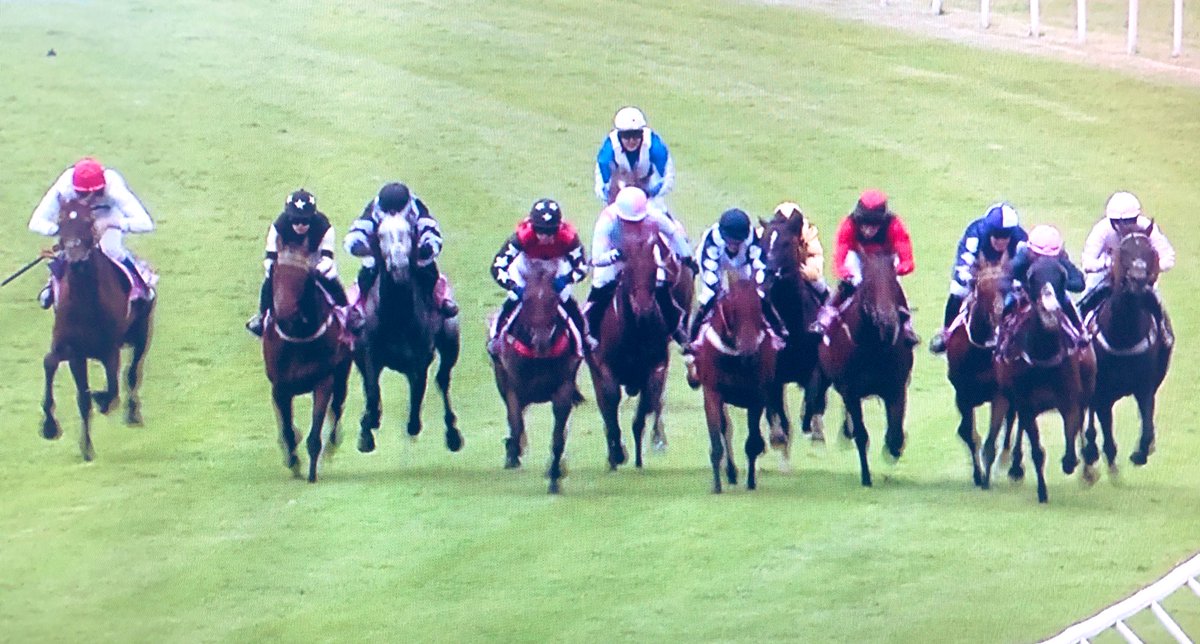 amajox's tweet photo. Congrats @amajox #ShannonWatts @JimGoldieRacing @JDeltaRacing wins @CarlisleRaces #Hugoigo 2nd win in #NoviceRiders series Well done Shannon! ππ₯ππππ https://t.co/yCwfEyiZ4s