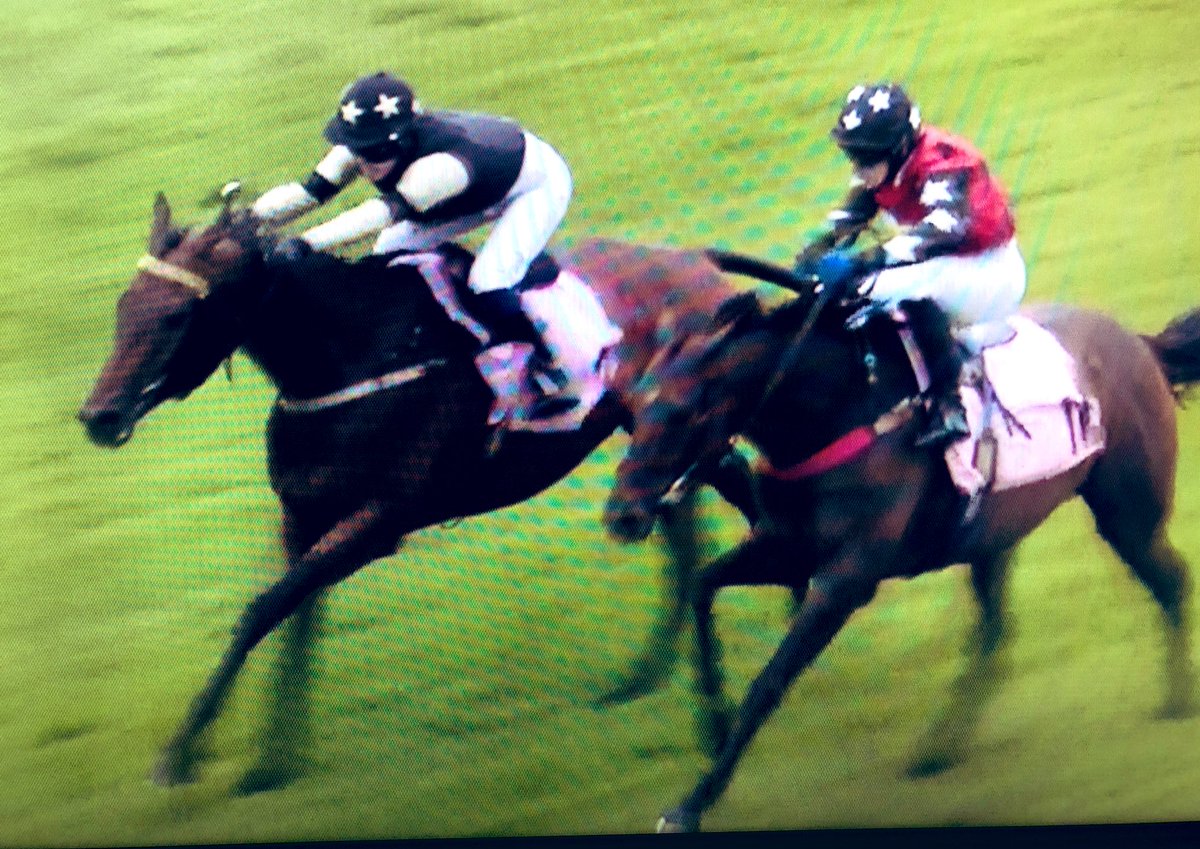 amajox's tweet photo. Congrats @amajox #ShannonWatts @JimGoldieRacing @JDeltaRacing wins @CarlisleRaces #Hugoigo 2nd win in #NoviceRiders series Well done Shannon! ππ₯ππππ https://t.co/yCwfEyiZ4s