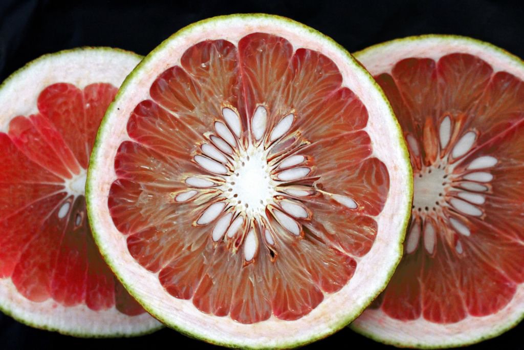 BIORAYInc's tweet photo. Did you know that grapefruit was named the forbidden fruit of Barbados? Interesting! Grapefruit Seed Extract is rich in antioxidants and promotes healthy microflora. ⁣⁠It's found in the following BIORAY products: NDF Mouth Rinse|Microbe Slayer|NDF Happy https://t.co/uX7NVFeIFa https://t.co/M8AU0fR9SD
