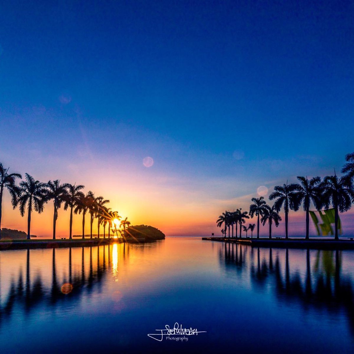 DeeringEstate's tweet photo. What inspires you? Find out this Sat, Aug 24 #SunrisePhotography. #DeeringPhotography @jsepulveda_photo
Register: https://t.co/fc0s8rPFa1
#SunriseatDeering #Sunrise #Photography #NaturePhotography #FLPhotography #MiamiTours #TourMiami #BiscayneBay #CoconutGrove #LeicaStoreMiami https://t.co/jmRHsWIJ0q