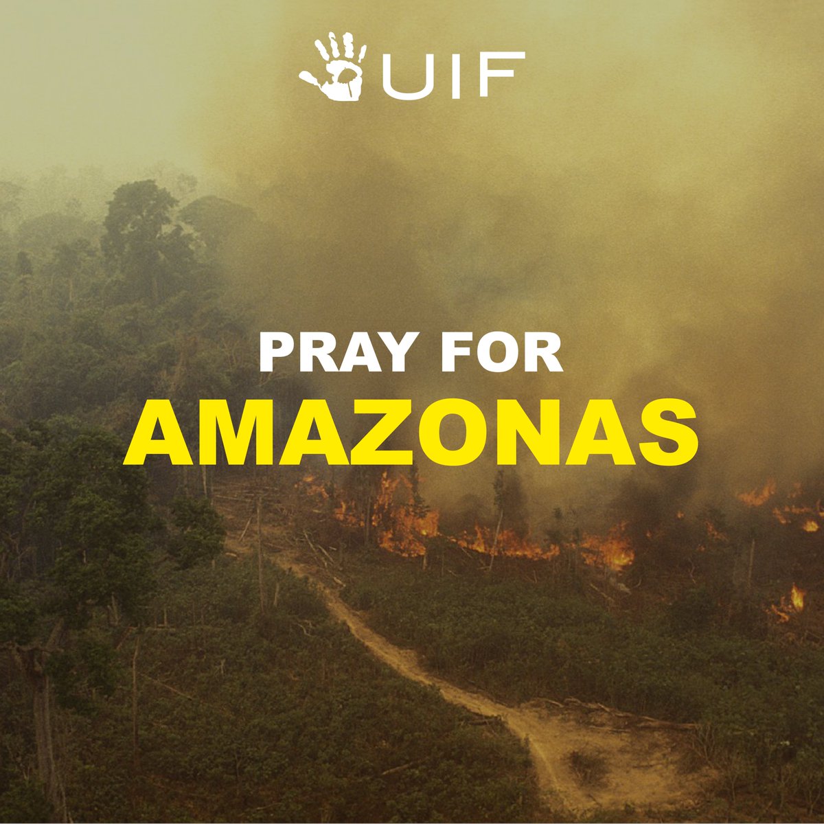 umbrellainit's tweet photo. #PrayforAmazonas The Amazon rainforest has been burning for almost 3 weeks now. The Amazon rainforest provides 20% of the Earth’s oxygen. Praying this tragedy would be over soon.🙏🏻 https://t.co/1yvp1k3W5M