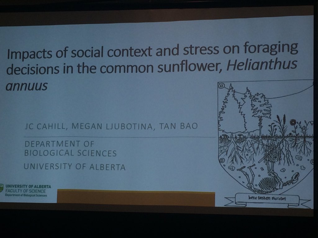 “Plants are doing a heck lot more with each other than just competing” JC Cahill emphasizes that plants are social individuals and exhibit anticipatory behaviour #EcoEvoEnto2019 #CSEE2019