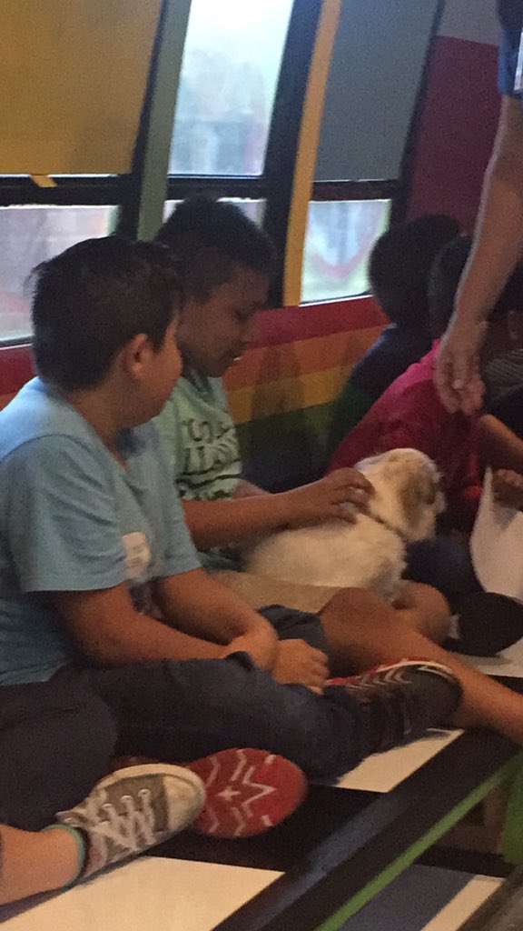Jenn_Viverito's tweet photo. Our Ss loving their visit with the #barkbus! Thanks @HumaneMarion for this wonderful program! https://t.co/jhQwASn87z