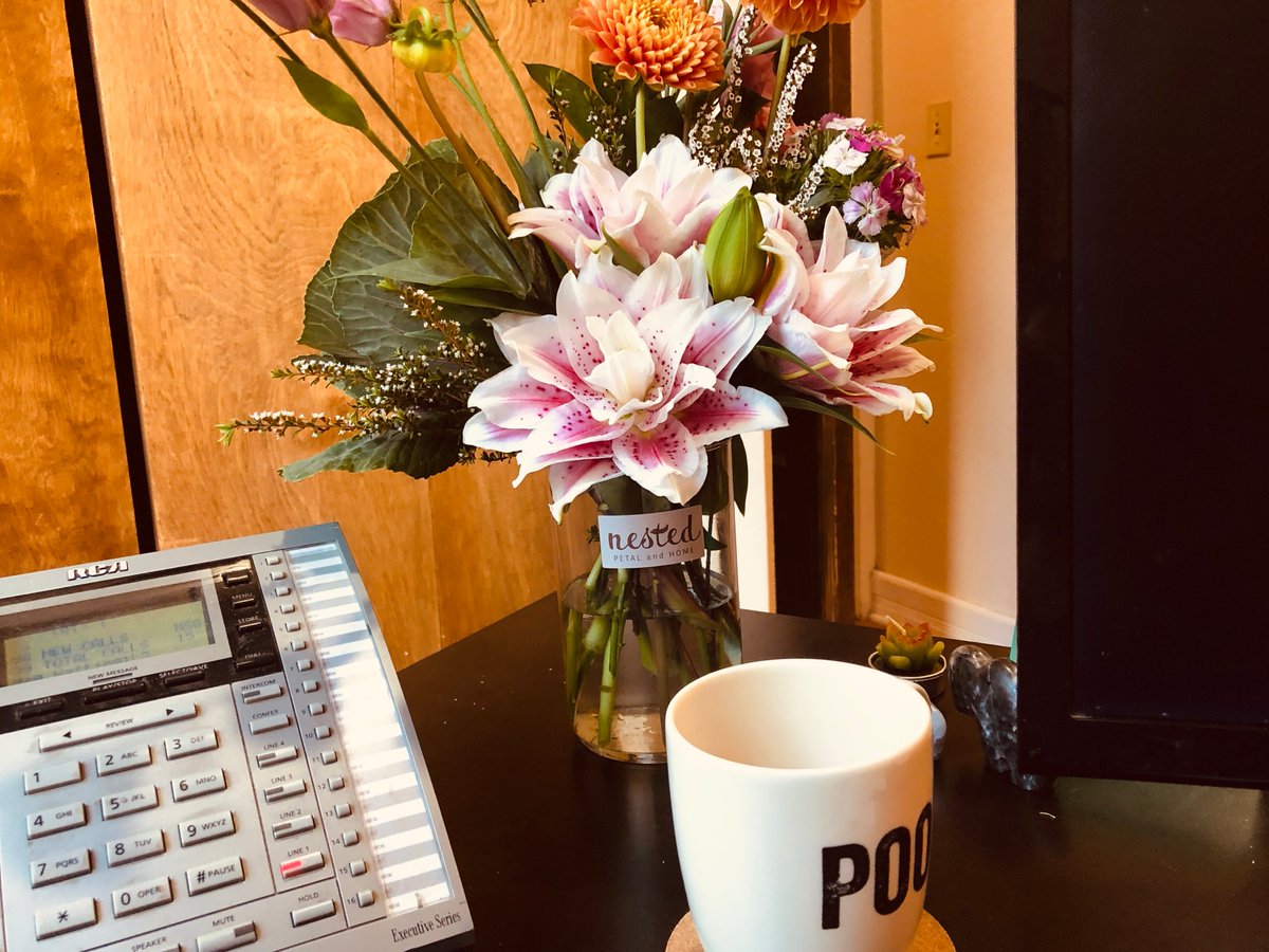 Our weekly delivery from #nestedtelluride - Ashley never disappoints! #telluride #freshflowers #wednesdaymorning