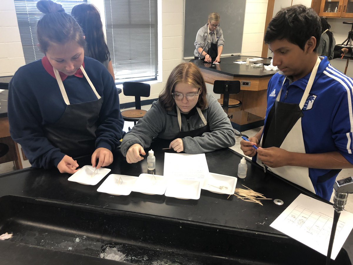 MsKMelton1's tweet photo. Mystery Powder Lab #PreAPBiology #CburgHigh #Committed #ScientificMethod https://t.co/OZUmFGCifp
