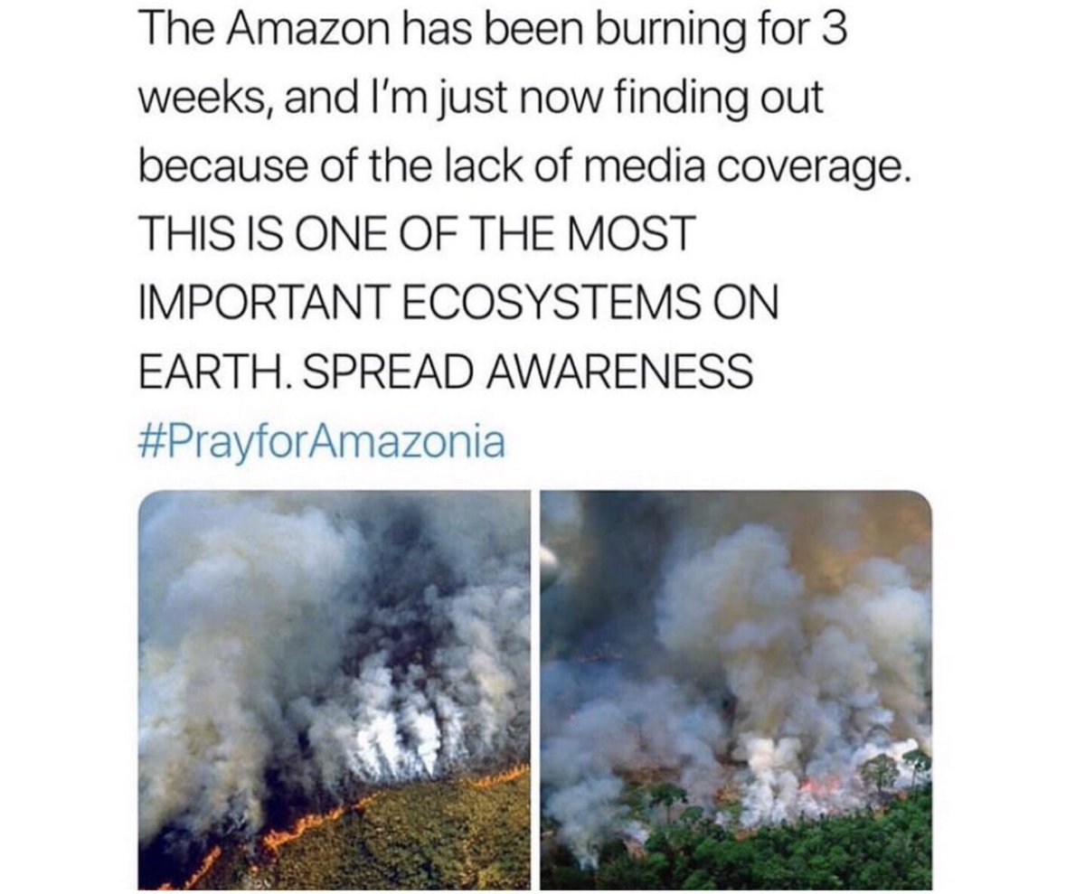 The #Amazon is burning, this is devastating! Wildfires occur during dry season, but they are also deliberately started in efforts to illegally deforest land for cattle ranching. #AmazonRainforest #PrayforAmazonas #prayforamazonia #ClimateChange #vegan #govegan #plantbased