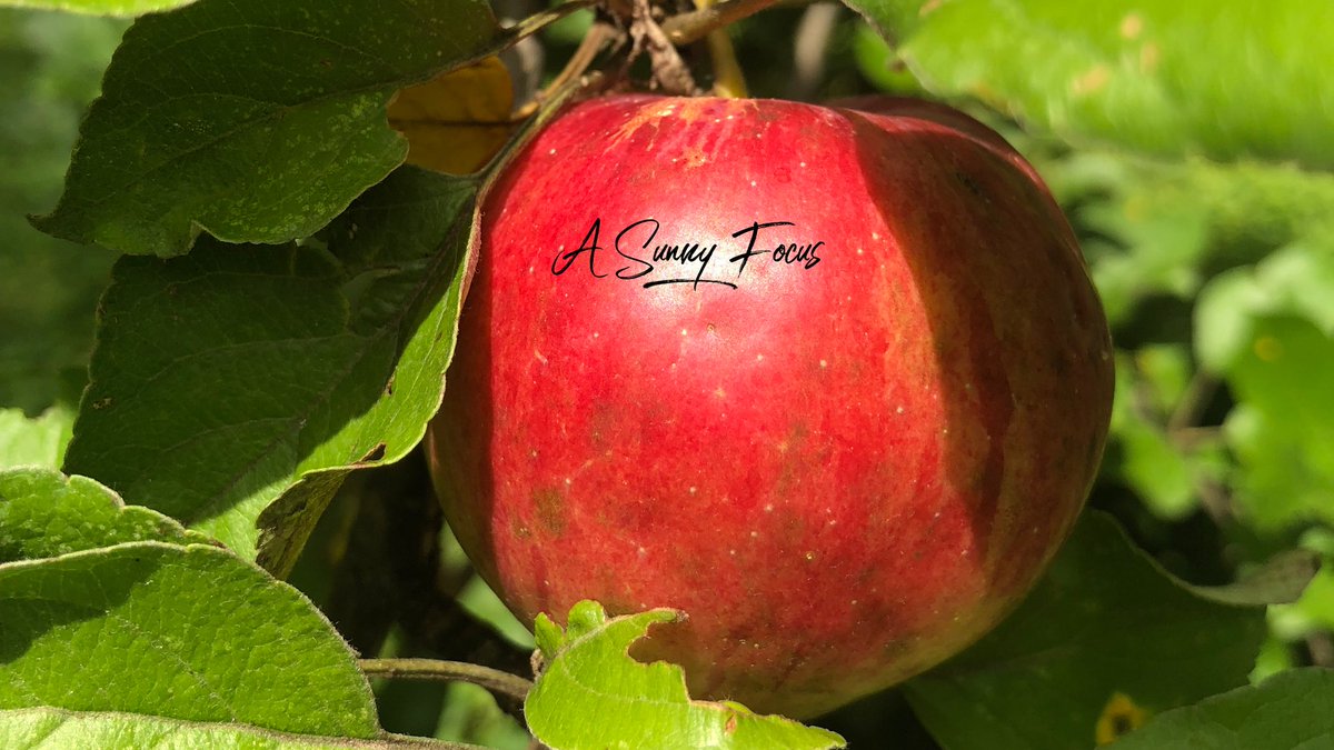 SunnySunnyFocus's tweet image. #BigChanges are often #ImportantChanges but making them stick can be tricky. Fortunately, #IKnowATrick! Today’s post has the biggest #SecretToLife I have yet uncovered. asunnyfocus.com/the-secret-to-… #ChangeIsTheOnlyConstant