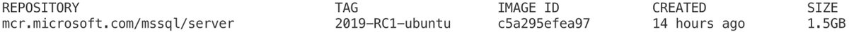 nocentino's tweet image. Why hello there... #SQLServer2019 #RC1