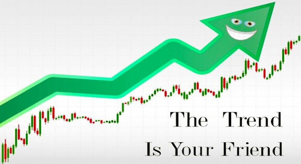 Nseguide Live Charts