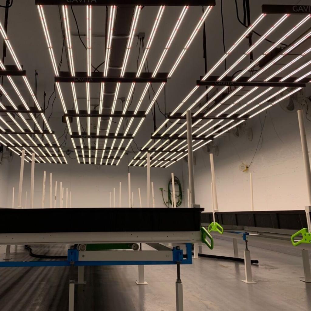 hawthornegc's tweet photo. #Gavita Lighting trusted and tried by growers of all sizes and types. Will continue to pioneer legacy Gavita Lighting and New Gavita LED Lighting for the future.
#hawthorne #yourfire #ourfuel #gavita #gavitagrown #cannabis #growyourown https://t.co/RytKJxFRiu