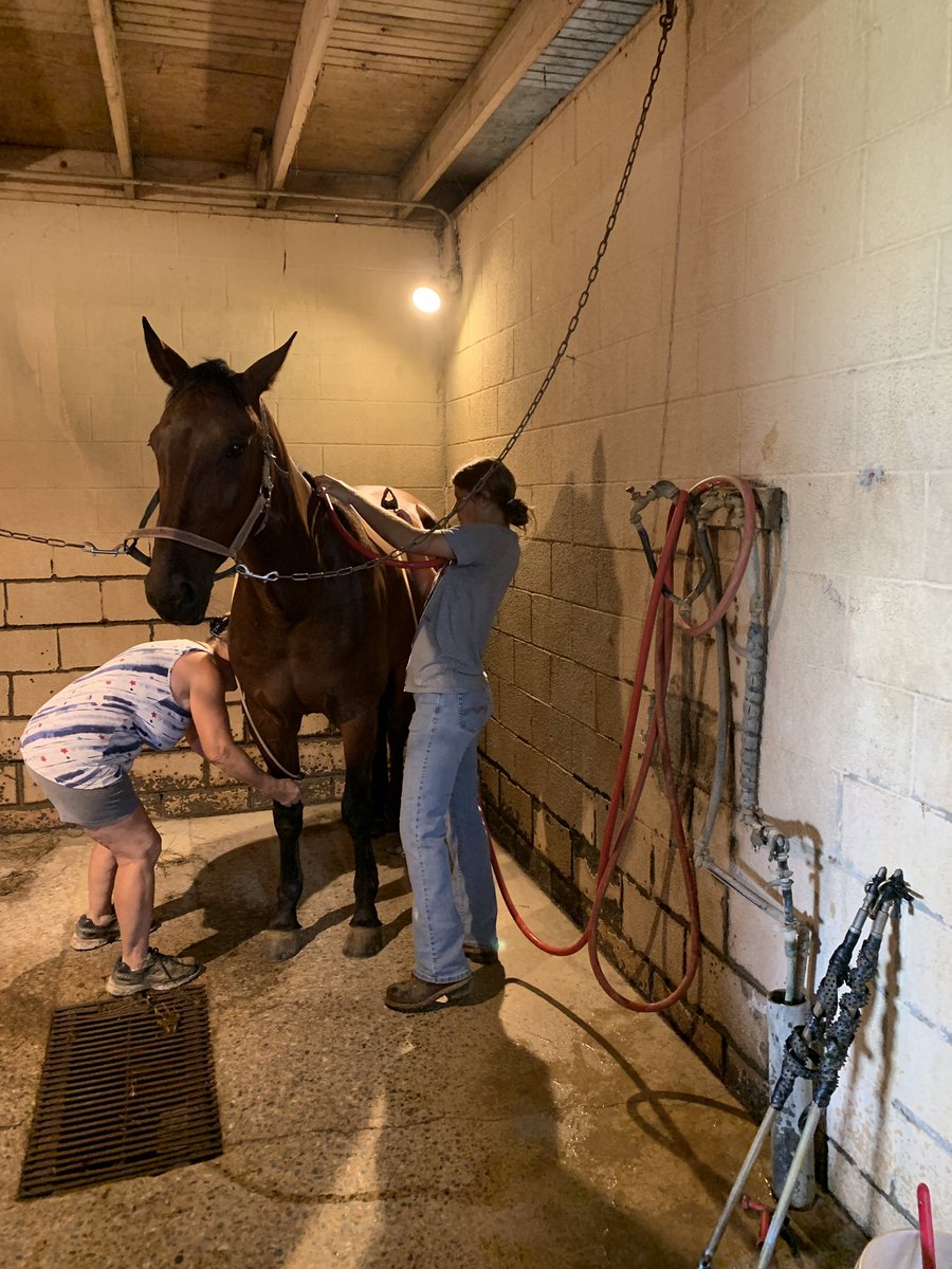 kjmcmichael's tweet photo. Summer learning & adventures 2/5
July snuck in with some more @GardenSpotFFA #SAEVisit rounds. Fair animals are making great progress!
I headed to @LincolnElectric for an excellent welding educator training! I’m ready to bring some industry-relevant examples to ##LSAgMech! https://t.co/vkA0Hr9O7x