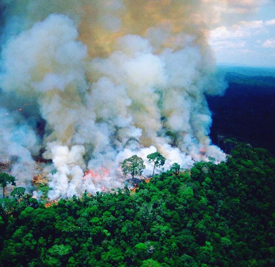 robertadamiann3's tweet photo. Las amazonas se esta quemando desde hace más de 16 días compartanlo por favor para que muchas personas lo puedan ver 😢 https://t.co/vBTq9MqZXt