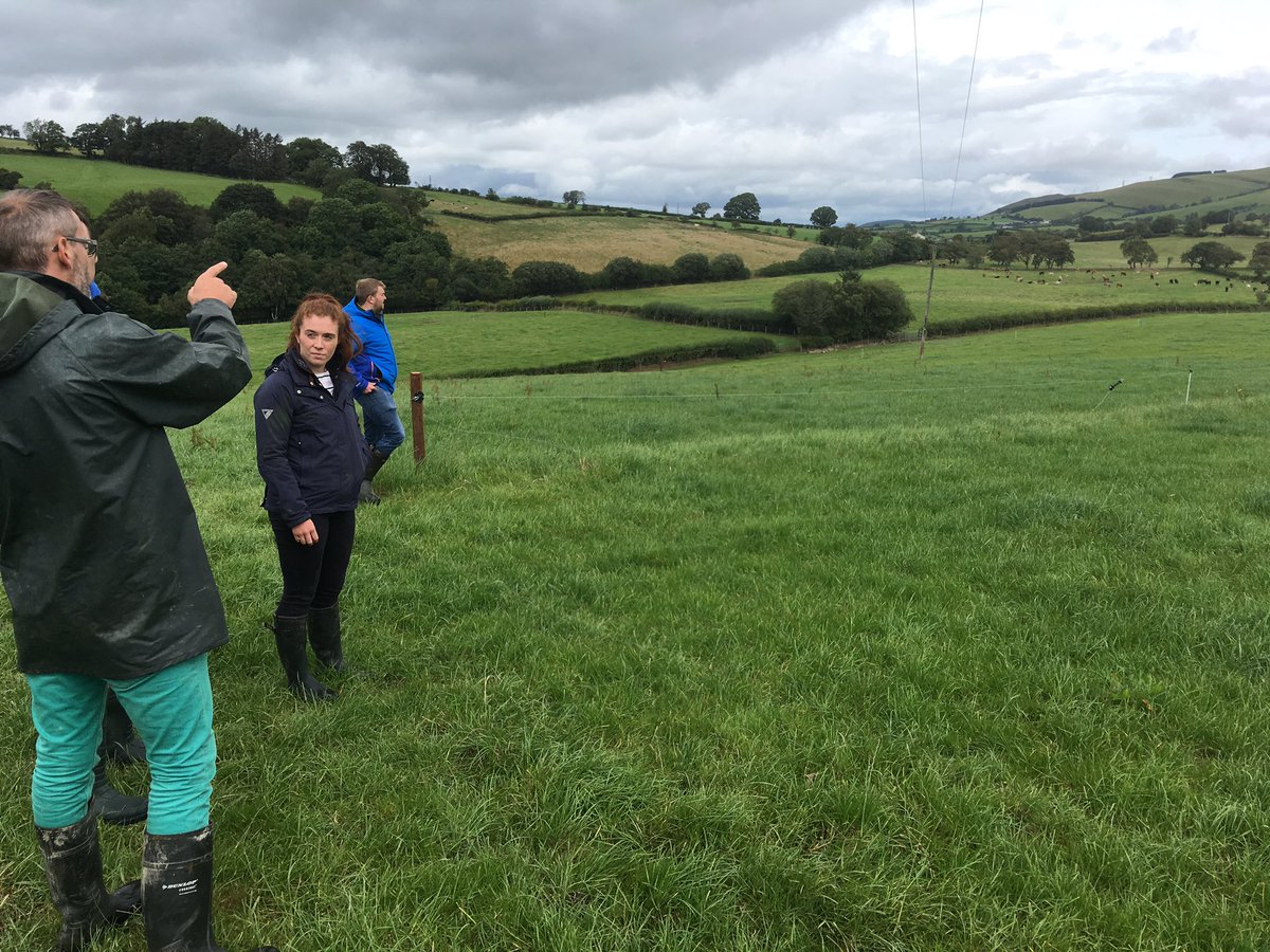 PrecGrazeWales's tweet photo. Today’s mid Wales #prosperfrompasrure discussion group. @IanTheGarth giving a guided tour of his beef finishing #technograzing system carrying a demand of 55Kg/DM/Ha. Infrastructure having a positive impact on labour efficiency and animal performance. 
@FarmingConnect https://t.co/KxMmLhh4SF
