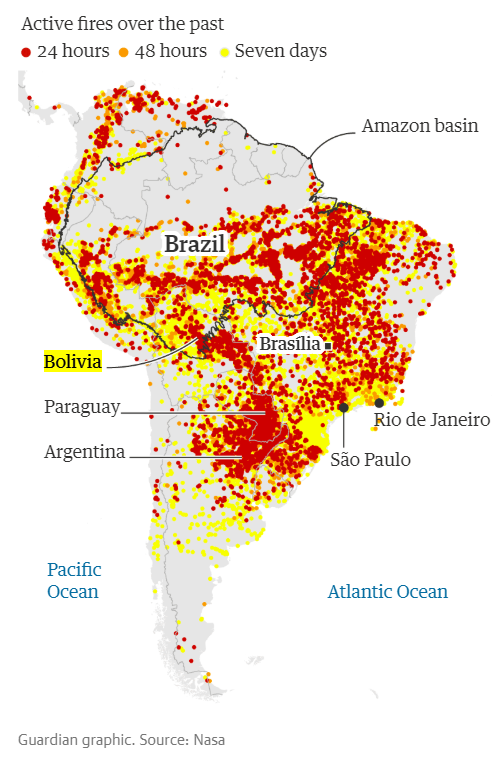 The Amazon is being devoured by fire. The Brazilian government has NOT declared it a national emergency. The Amazon is home to millions of species including our beloved titi monkeys! Spread the word! "Once the Amazon it's gone, it's gone forever" 
#SOSBolivia
#Brazil 
#AmazonFire