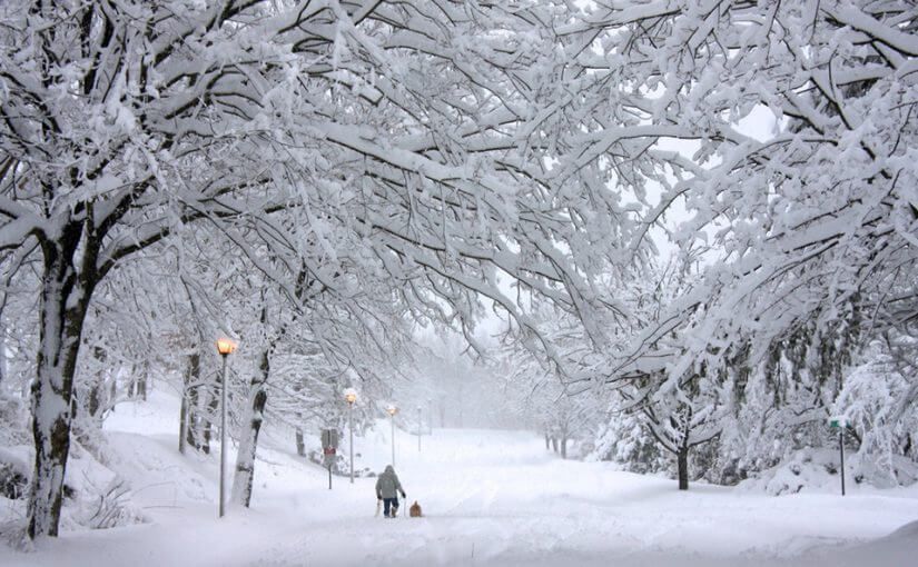 Petit rappel: c'est l'hiver dans 4 mois!
 ❄️⛷