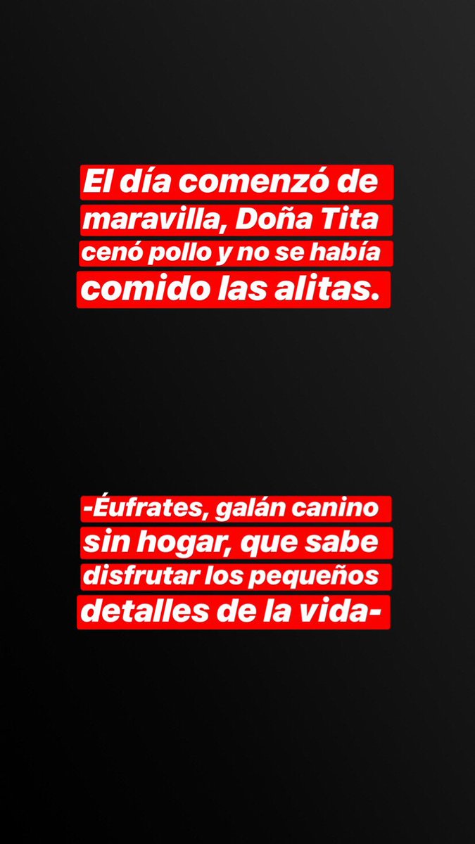 Bit_Nocturna's tweet photo. Todos somos un gran @microcuentos #VidaDePerros https://t.co/SPjlStokX2