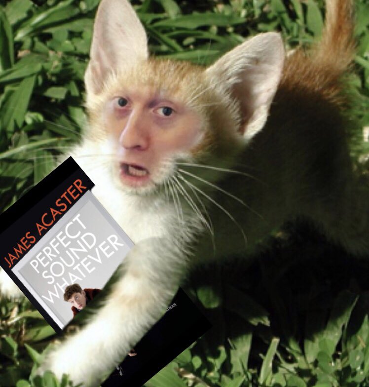 jamesaCATster's tweet photo. Happy #PerfectSoundWhatever day!! SO PROUD OF YOU @JamesAcaster YOU LEGEND https://t.co/SteQaWo5dr