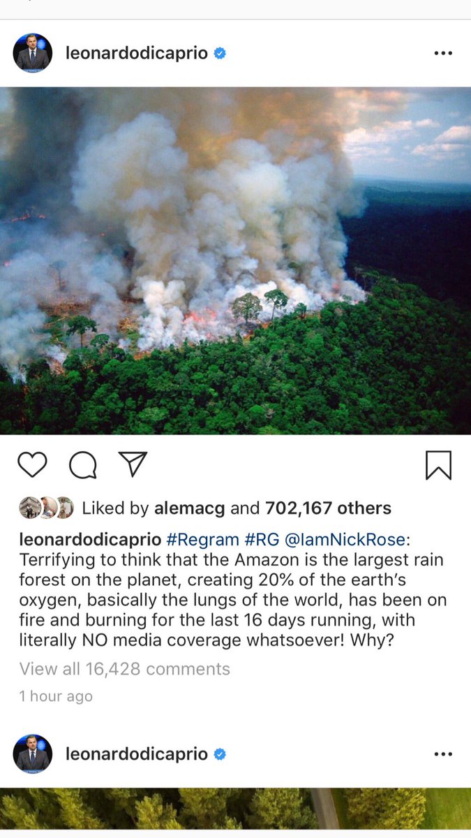 Dogin Hood AC tweet media