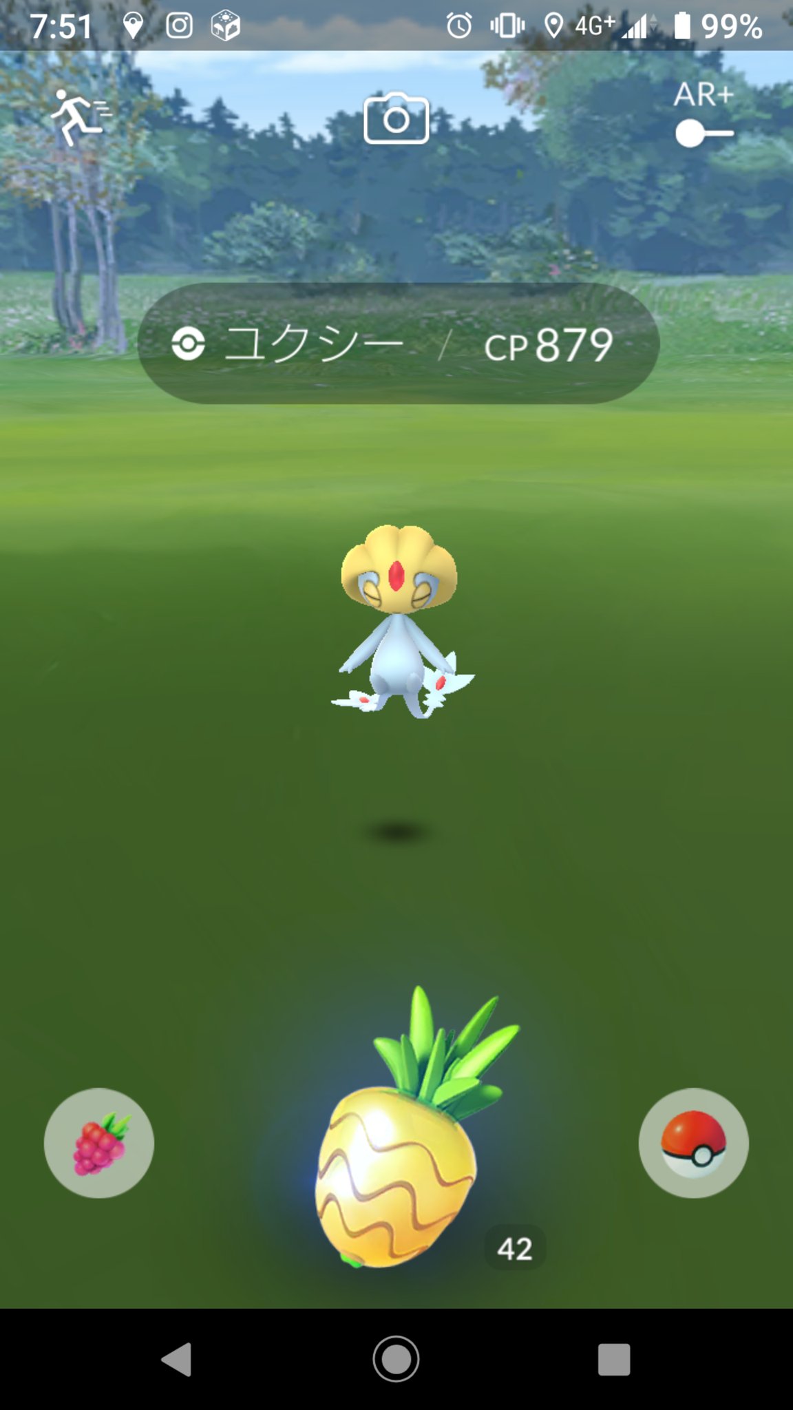 のんのん ユクシーの影を追いかけたらホントに野生で出た ポケモンgo ユクシー T Co E9lqxbcdm1 Twitter