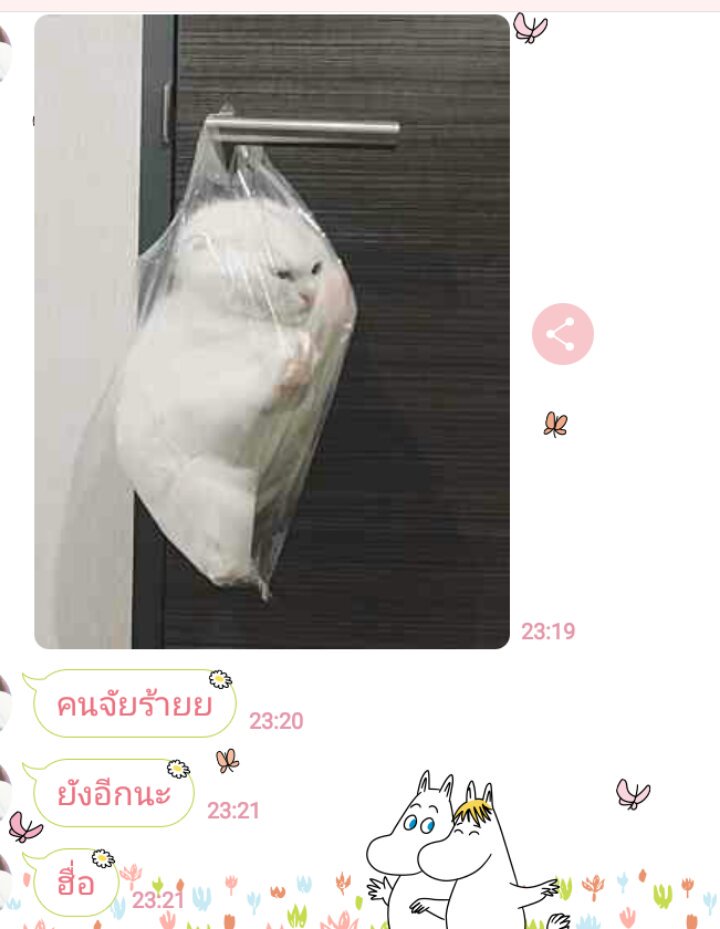 มาขิงเด่ก tweet media