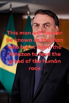 sumayyah28's tweet photo. Burning down the Amazon to make way for cattle farming. You sir will die a very painful and slow death burning in the same fires the wildlife and animals are burning in.

#PrayForTheAmazon https://t.co/y0NC68PzIS