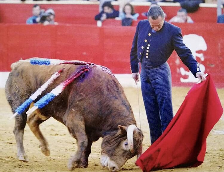 NMorenodeTerry's tweet photo. Con los vuelos. 
Para llevar las embestidas por abajo no es necesario agacharse o retorcerse. Torear con las yemas de los dedos y no con los nudillos. 
Eso decía y así lo hacía el Maestro Manzanares. https://t.co/5gioltZ9Ry